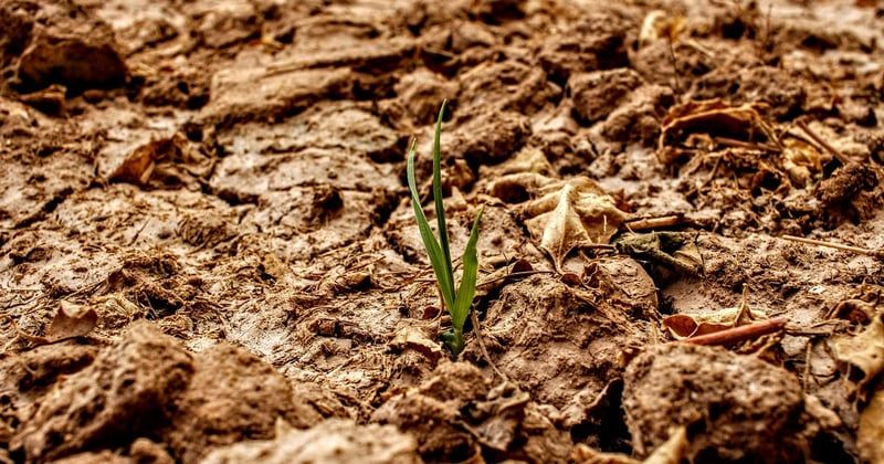 Canicule : l’Espagne suffoque à nouveau sous des températures records